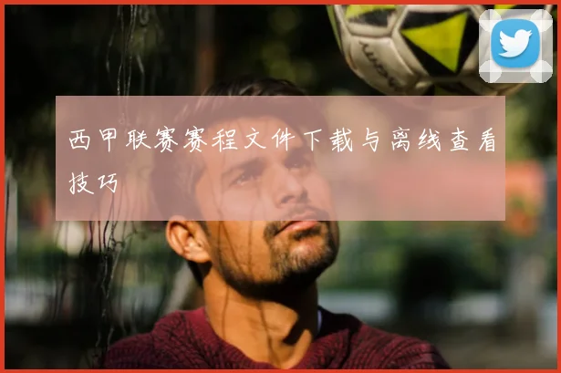 西甲联赛赛程文件下载与离线查看技巧