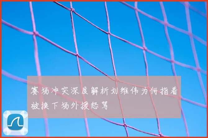 赛场冲突深度解析刘维伟为何指着被换下场外援怒骂